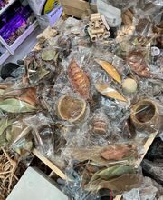 Aquasalvaje imagen 5