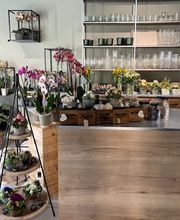 Martin's Blumenwelt Bild 3