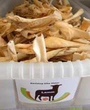 Barfshop Elbe Elster Bild 11