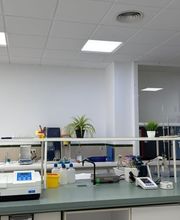 310462148-1-mDMJETFnod1777466275250.jpeg