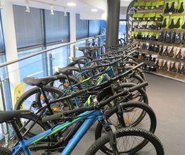 MF Bikes Bild 9