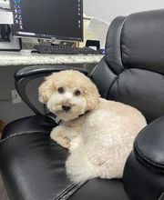 Precision Chiropractic & Nutrition Center image 2