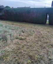 Daniel Moquet signe vos jardins - Ent. AJ Paysage image 13