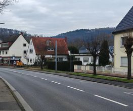 Baufeldrodung nachher