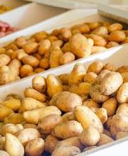 André Claude image 3