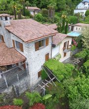 Tetti Forster Bild 1