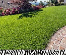 Zebra AG Garten & Pool Bild 3