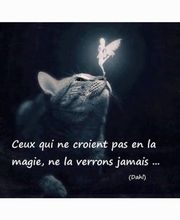 Dynamic Dance Energies image 7