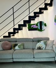 Gallery Cliente