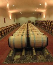 Château d'Arguin Domaine du Reys Pouey International SA image 1