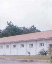 Lorra S. Coop. imagen 14