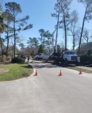 Hall's Tree Service image 17