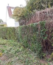 Artisan Elagueur David image 9