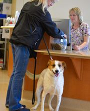 Archer Veterinary Clinic image 17