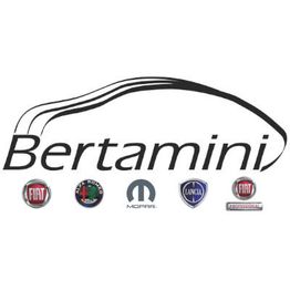 Bertamini Srl logo