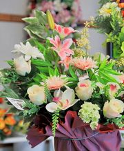 Gosset Léon image 18