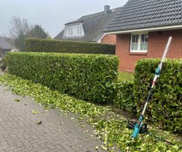 Grünblick | Garten- und Objektpflege Bild 2