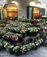 Le Jardin de Benoit image 16