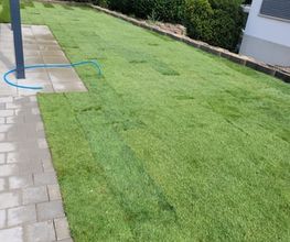 Gartenbau Hoch3 Bild 7