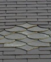 BLM Couverture image 7