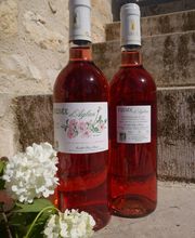 Château Les Hauts D'Aglan image 4