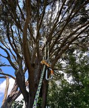 Jardin De La Côte image 19