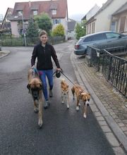 Nadine Zitzer Pfotenteam Bild 4