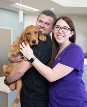 El Paseo Animal Hospital image 8