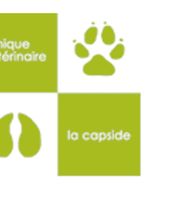 La Capside image 2