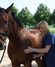 neuhaus.tierärzte.team Bild 3