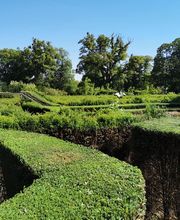 Alex Paysage image 8