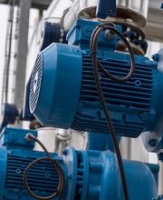 Lusseau-Squiban image 2