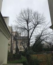 Wintrestin image 5