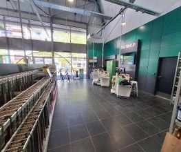 Feu Vert image 3