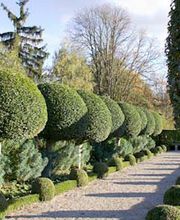 Au Vert Paysage image 1