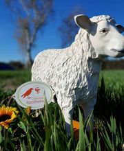 Corvinus-Apotheke Bild 1