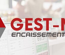 Gest-Mag image 7