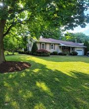 Aman Landscaping image 17