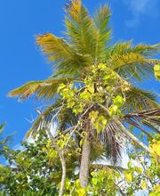 Smiley Location image 11