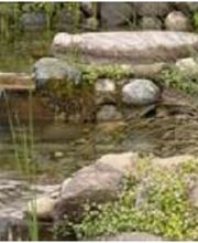 Eugen Lederer Inh. Matthias Lederer Gartengestaltung Bild 1