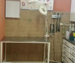 Centro Veterinario Ifach imagen 4