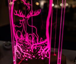 Polear | Licht und Design Bild 3