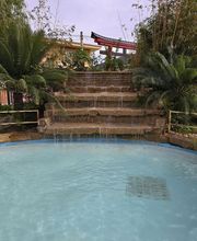 Jardines Vladimir S.L imagen 11