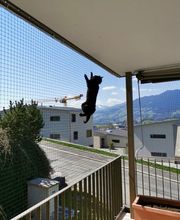 Stöckli Katzenschutz GmbH Bild 11