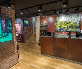 Dr. Martens - Les Halles image 14