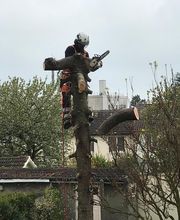 Le Renard Vert image 2