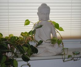Physiotherapie/Massage/Yoga Spilker Bild 1