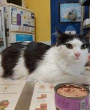 Clínica Veterinaria Huellas imagen 7