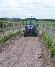 Cognac Michelet image 19