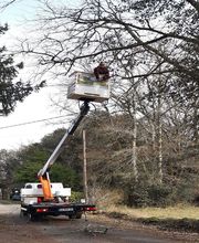 Mickael élagage image 12